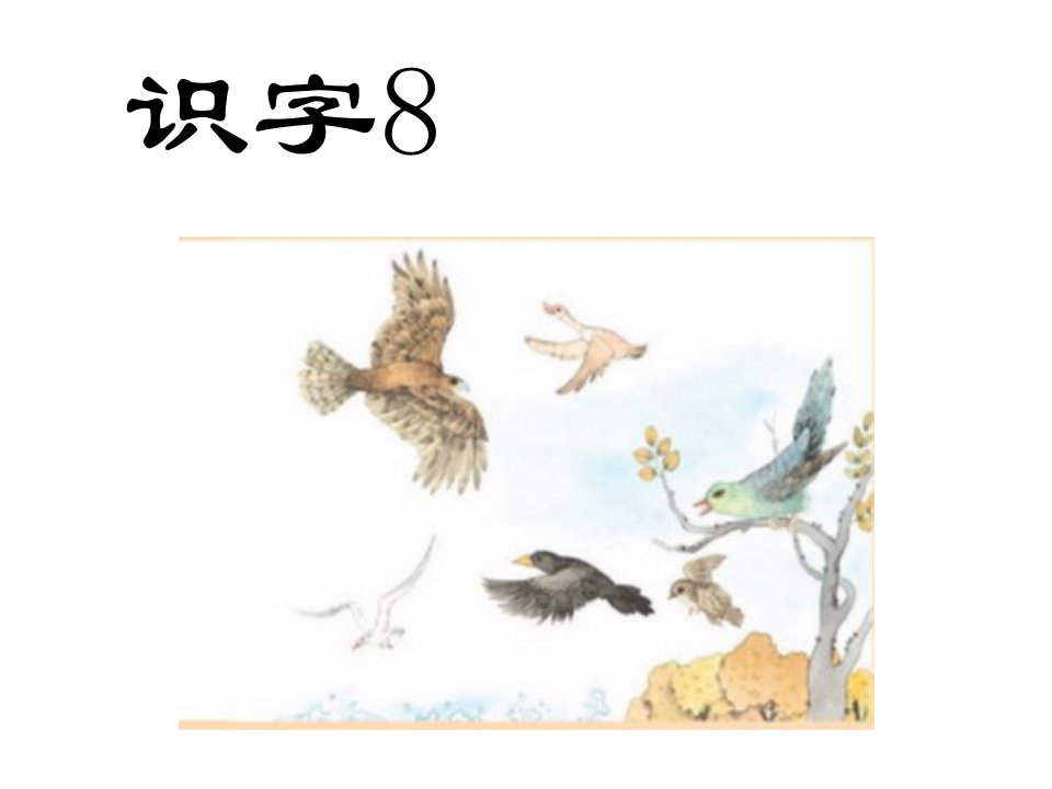 苏教版语文二年级下册《识字8》课件