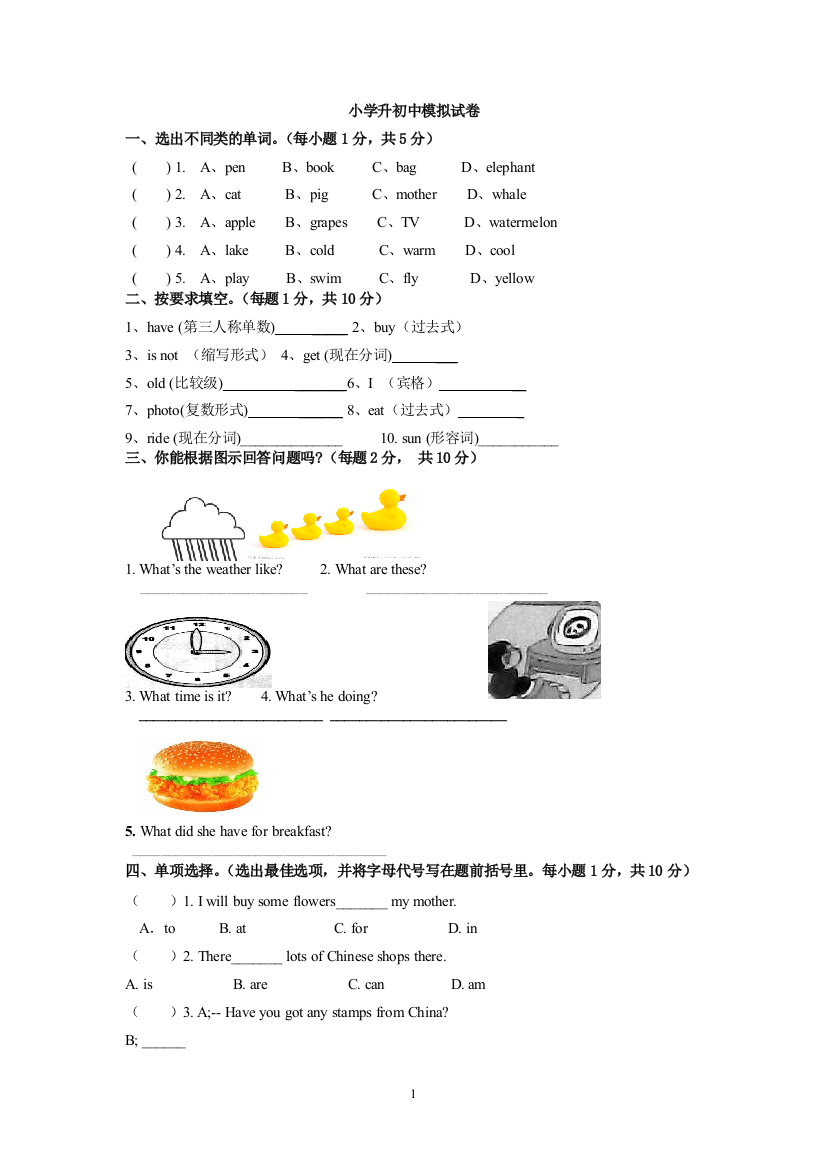 小升初英语试卷55438试卷教案