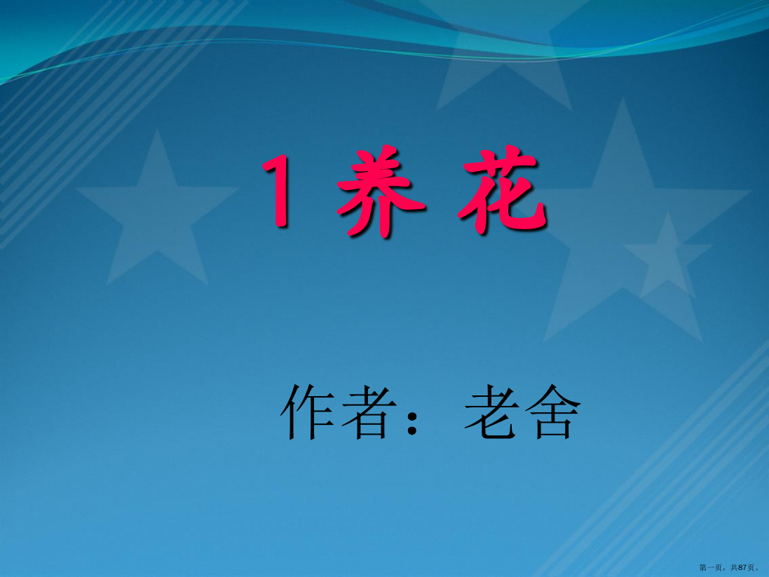 六年级下册综合复习课件