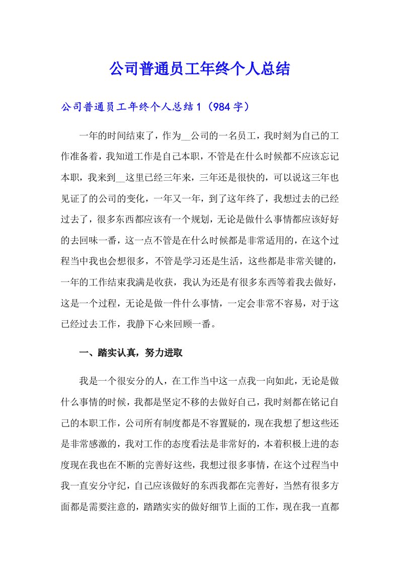 公司普通员工年终个人总结