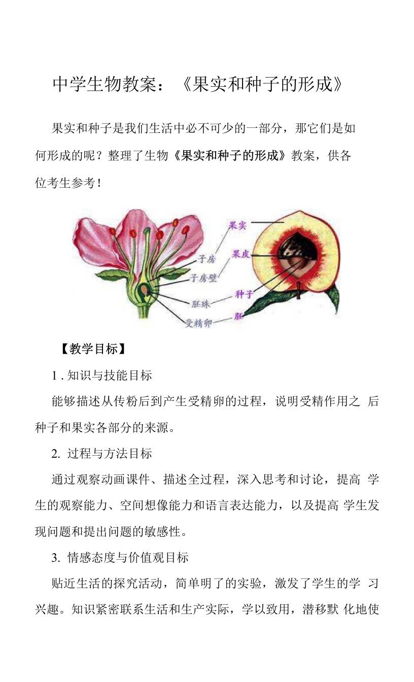 中学生物教案：《果实和种子的形成》0001