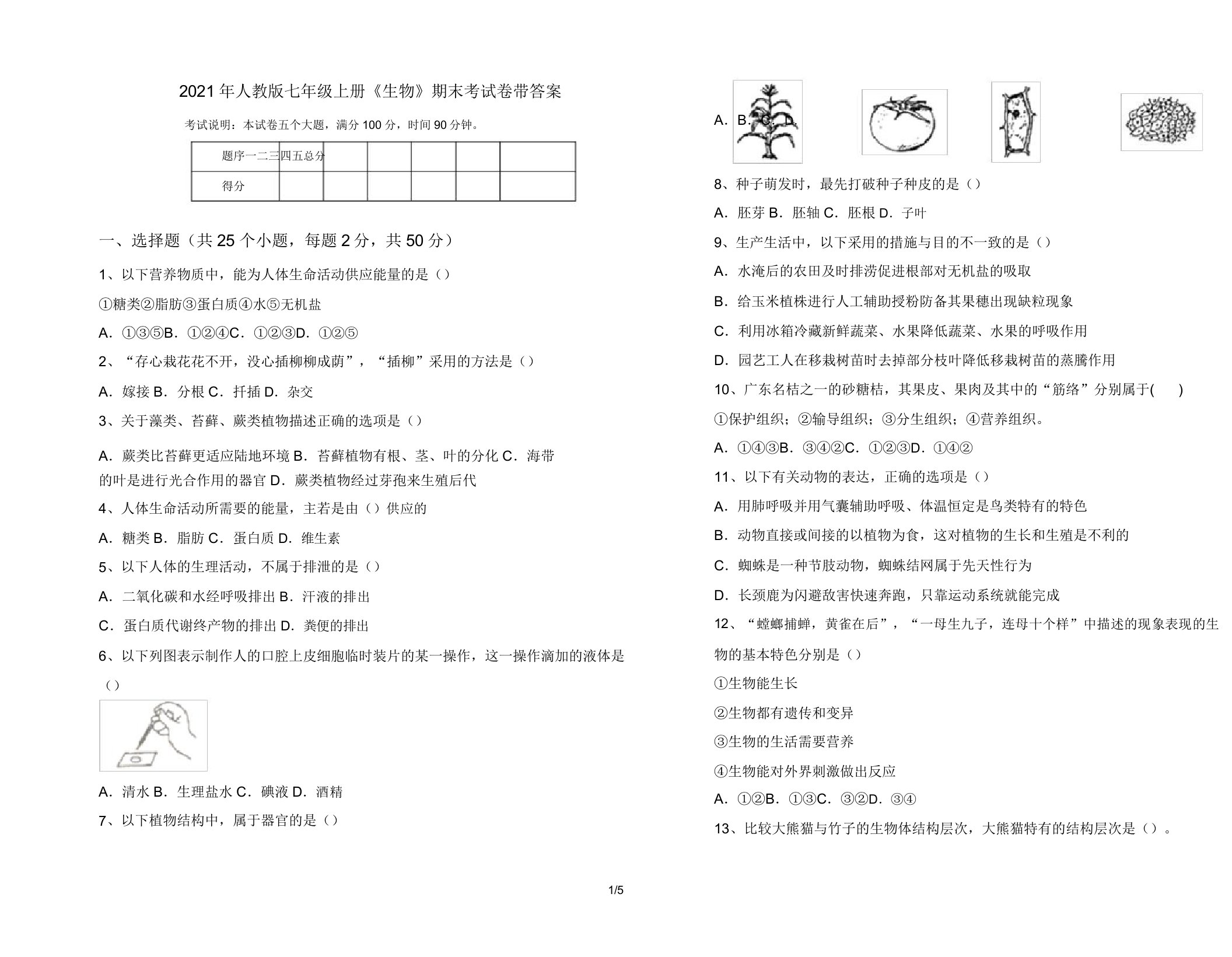 2021年人教版七年级上册《生物》期末考试卷带