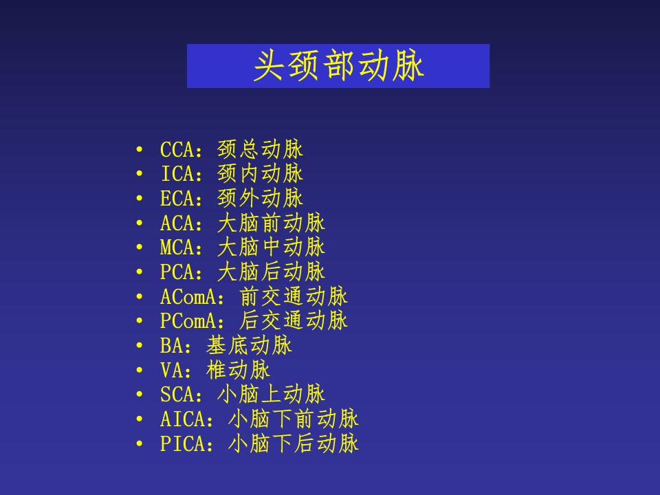 《头颈部动脉解剖》PPT课件