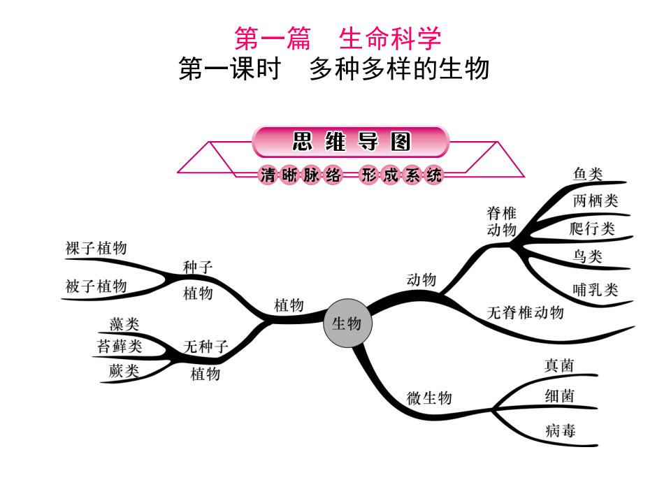 浙江省中考科学第一轮总复习