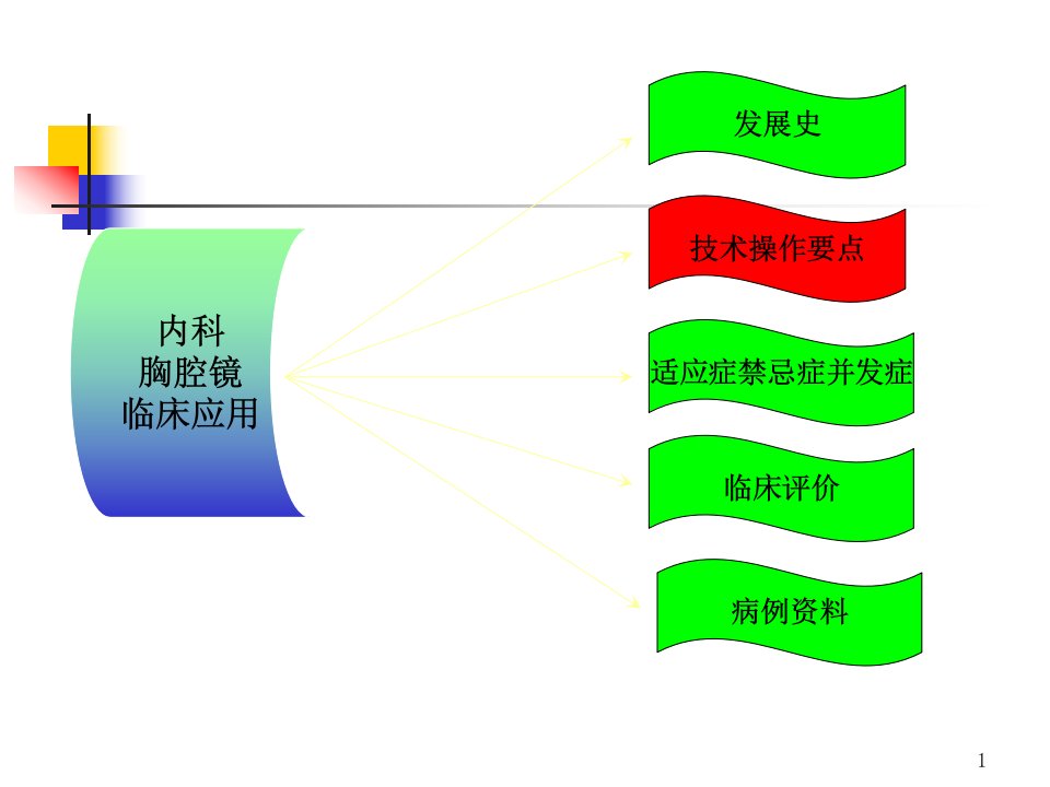 内科胸腔镜PPT课件