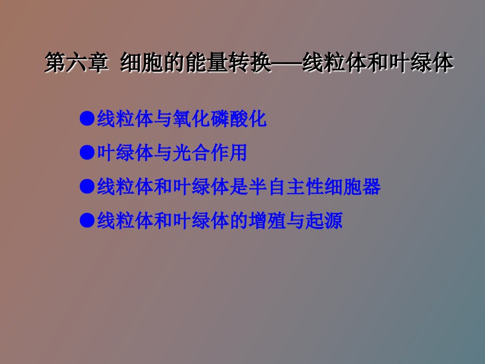 细胞的能量转换-线粒体和叶绿体