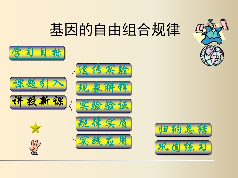 高二生物基因的自由组合规律