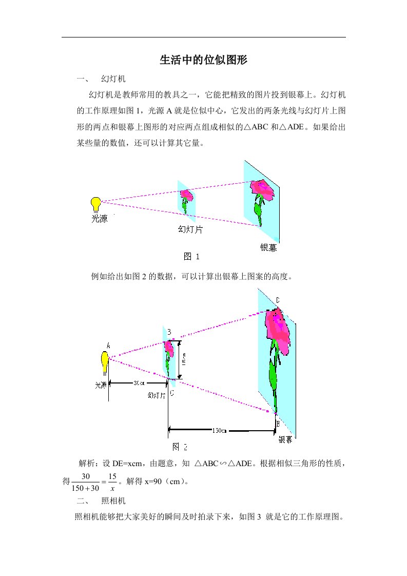 拓展资源：生活中的位似图形