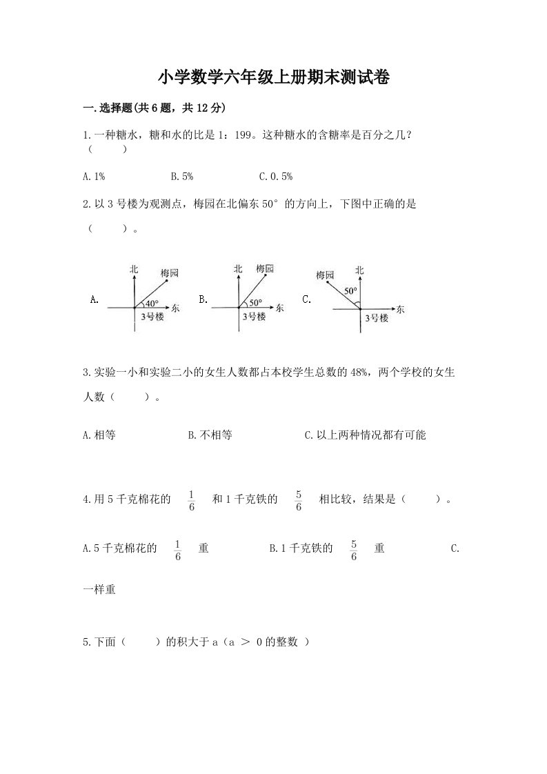 小学数学六年级上册期末测试卷完整版2