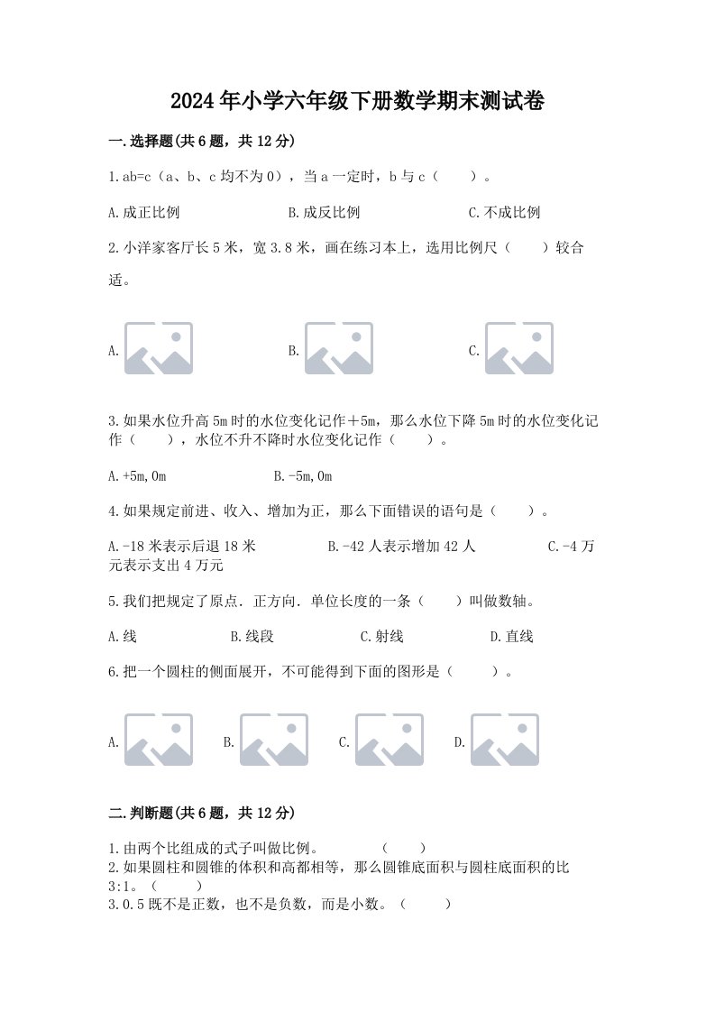 2024年小学六年级下册数学期末测试卷含完整答案【夺冠系列】