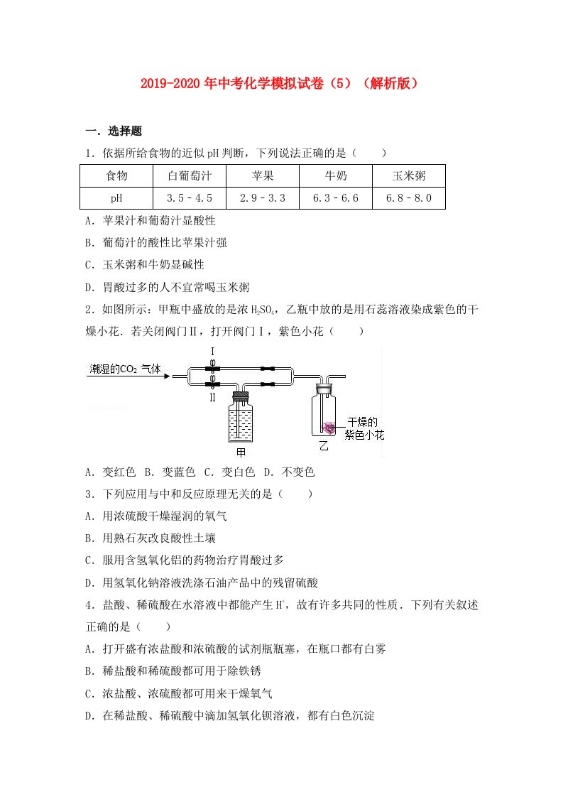 2019-2020年中考化学模拟试卷（5）（解析版）