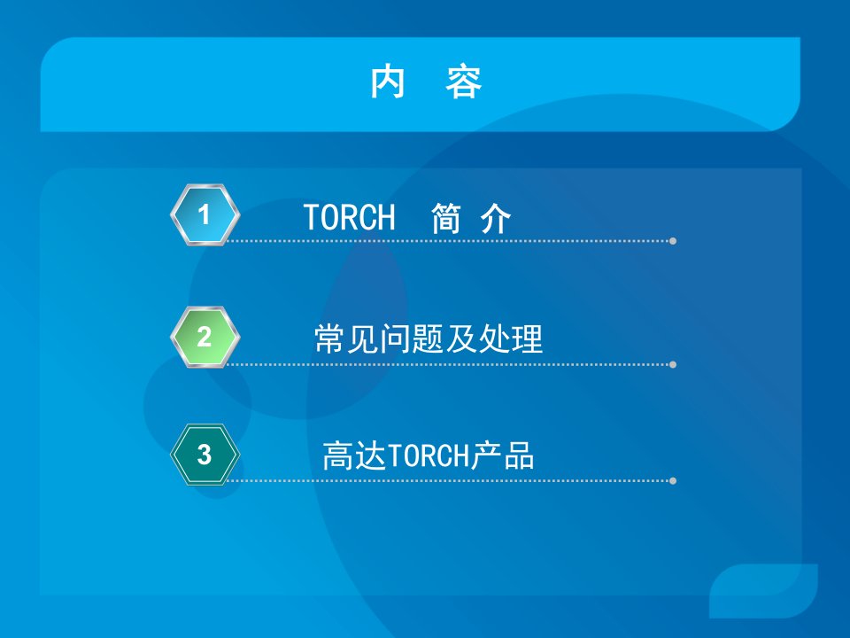 《TORCH介绍》PPT课件