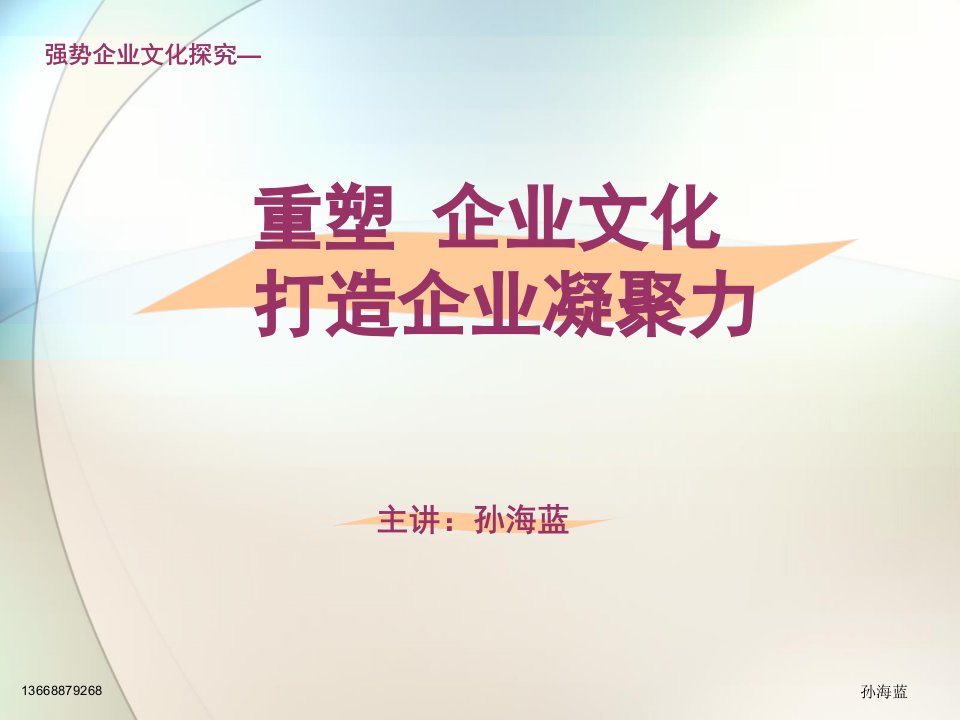 重塑企业文化打造企业凝聚力-孙海蓝