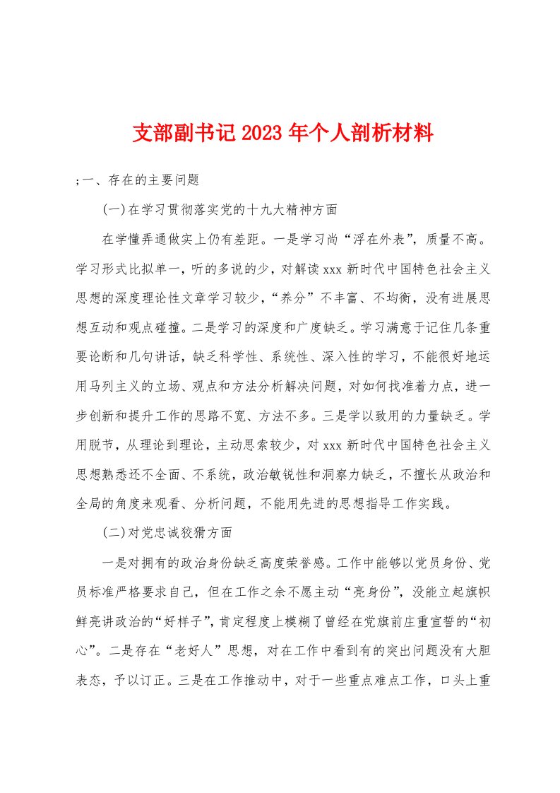 支部副书记2023年个人剖析材料