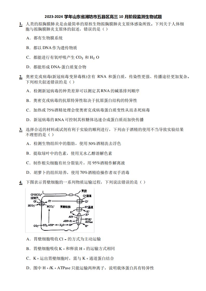 2023-2024学年山东省潍坊市五县区高三10月阶段监测生物试题