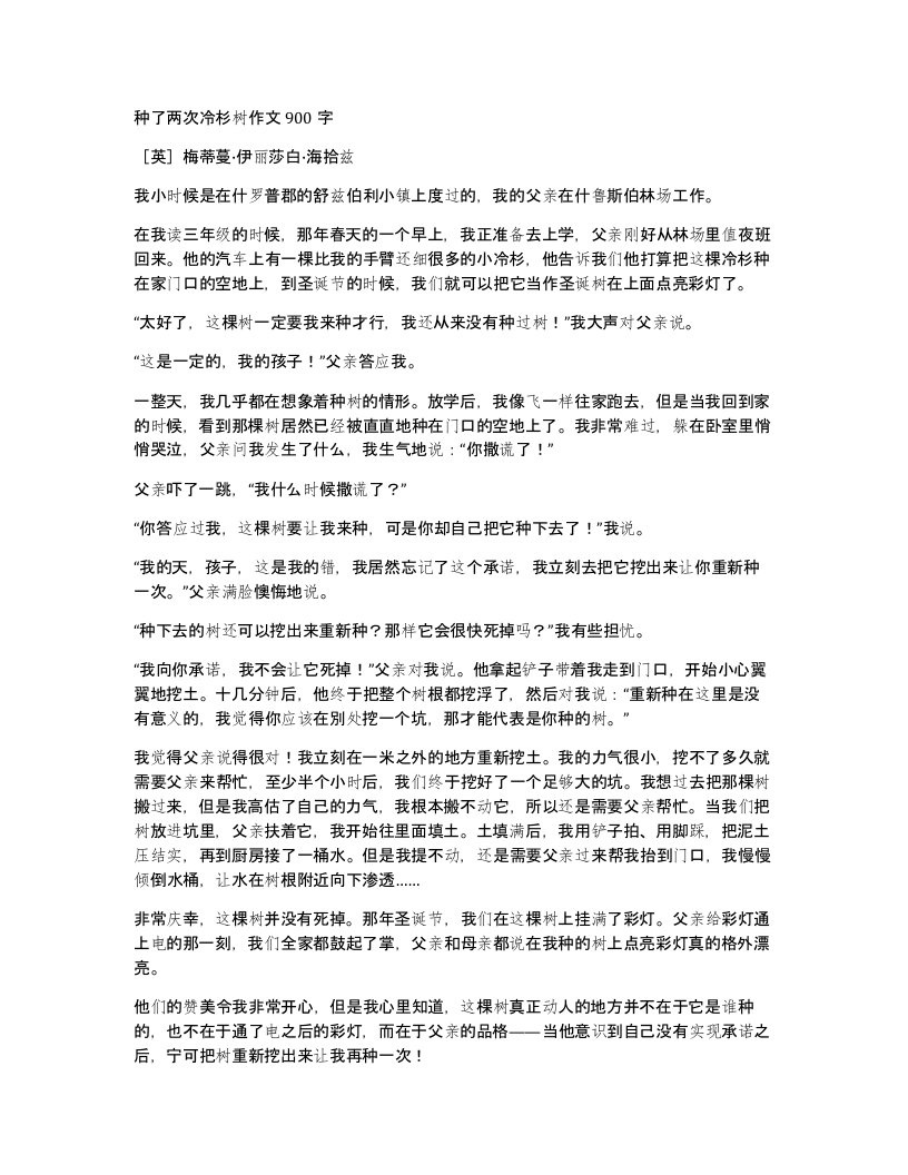 种了两次冷杉树作文900字