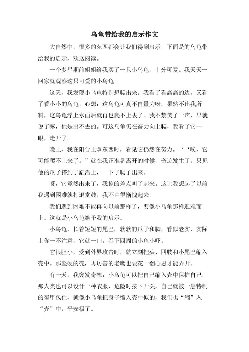 乌龟带给我的启示作文