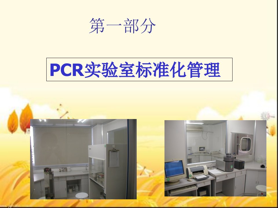 pcr实验室规范化与质量控制复习课程