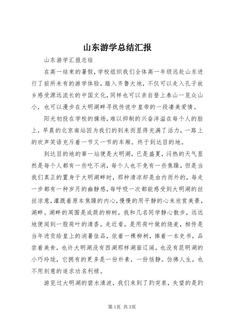 5山东游学总结汇报