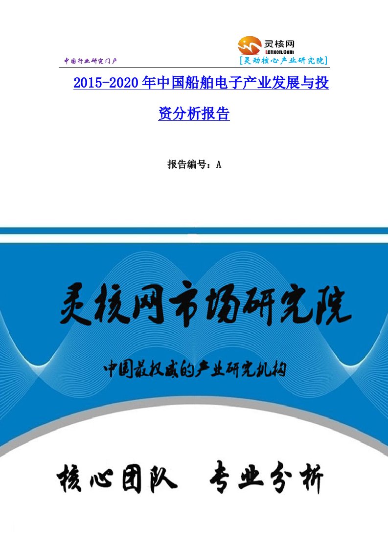 中国船舶电子行业市场分析与发展趋势研究报告灵核网