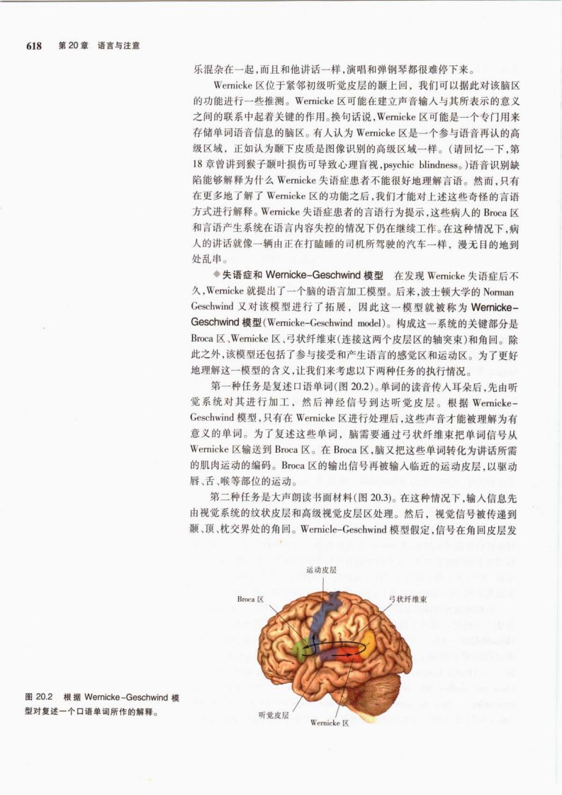 [神经科学-探索脑]-neuroscience-exploring-the-brain-(2nd-edition)-2004-chs-scan_部分12