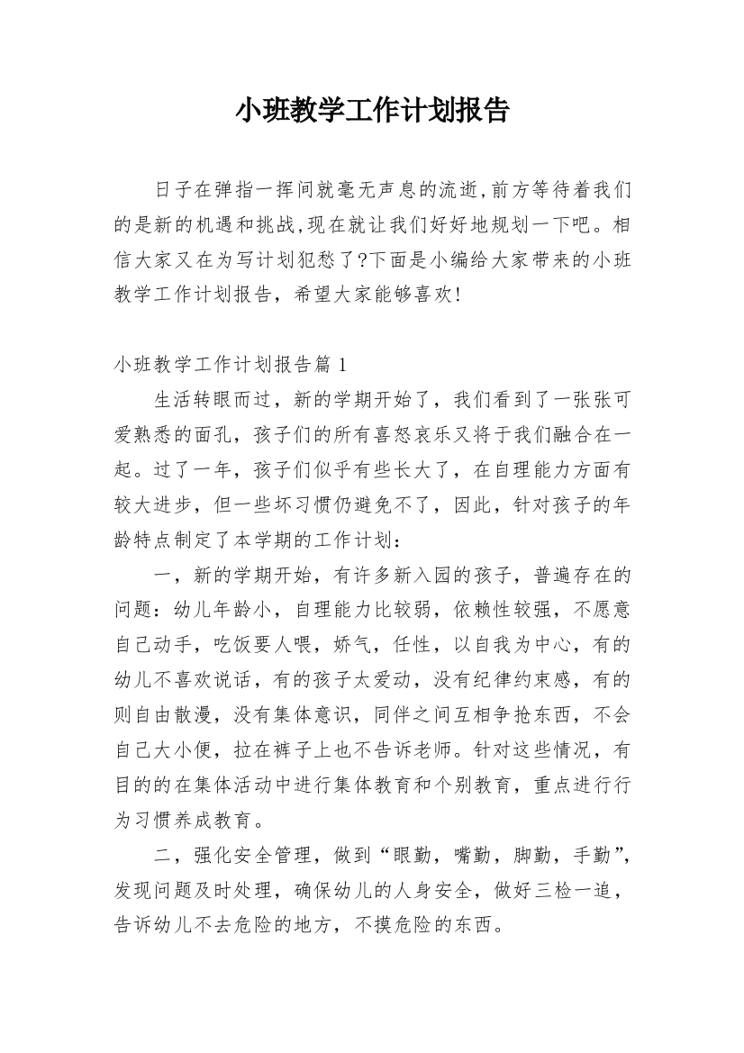 小班教学工作计划报告