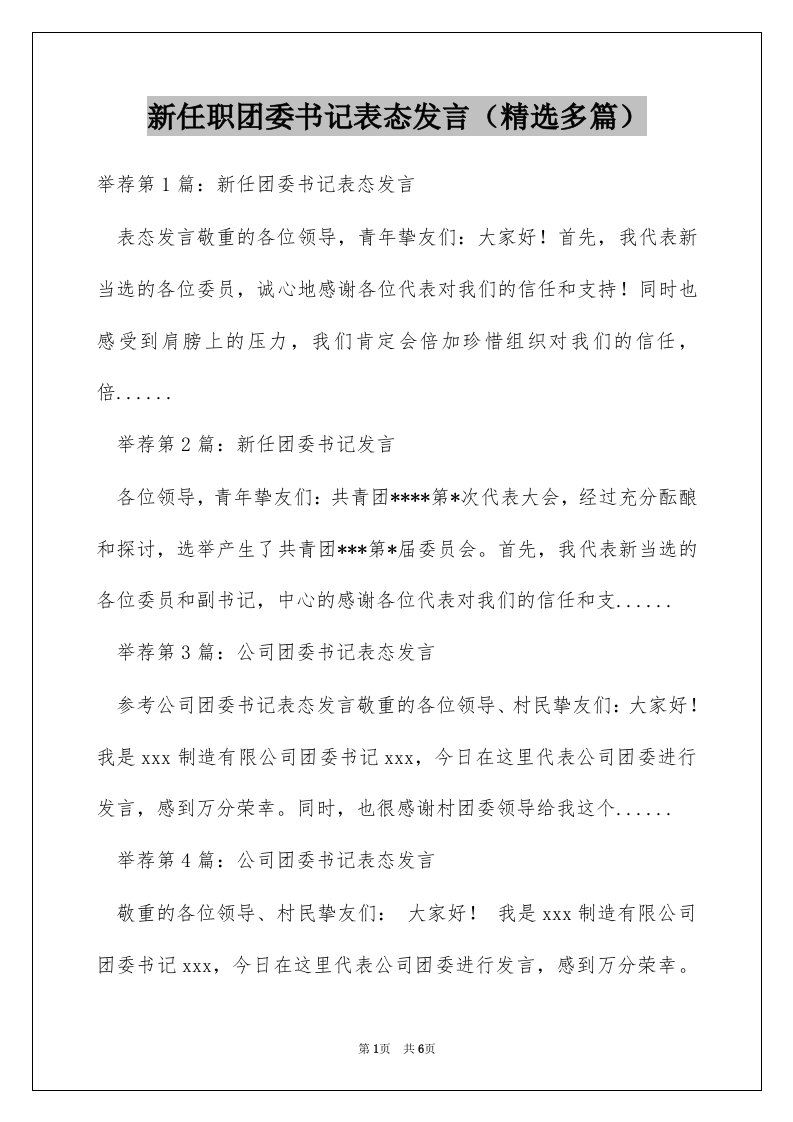 新任职团委书记表态发言（精选多篇）