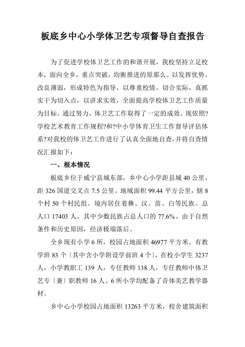 板底乡中心小学体卫艺专项督导自查报告