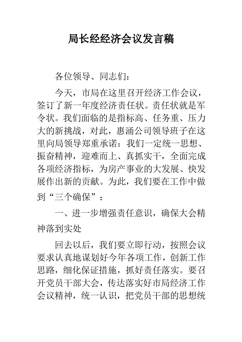 局长经经济会议发言稿