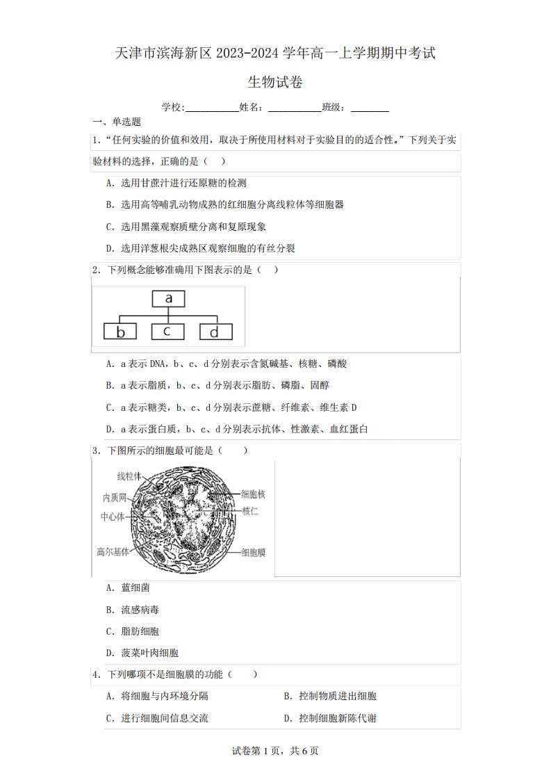 天津市滨海新区2023-2024学年高一上学期期中考试生物试卷(含解析)4111