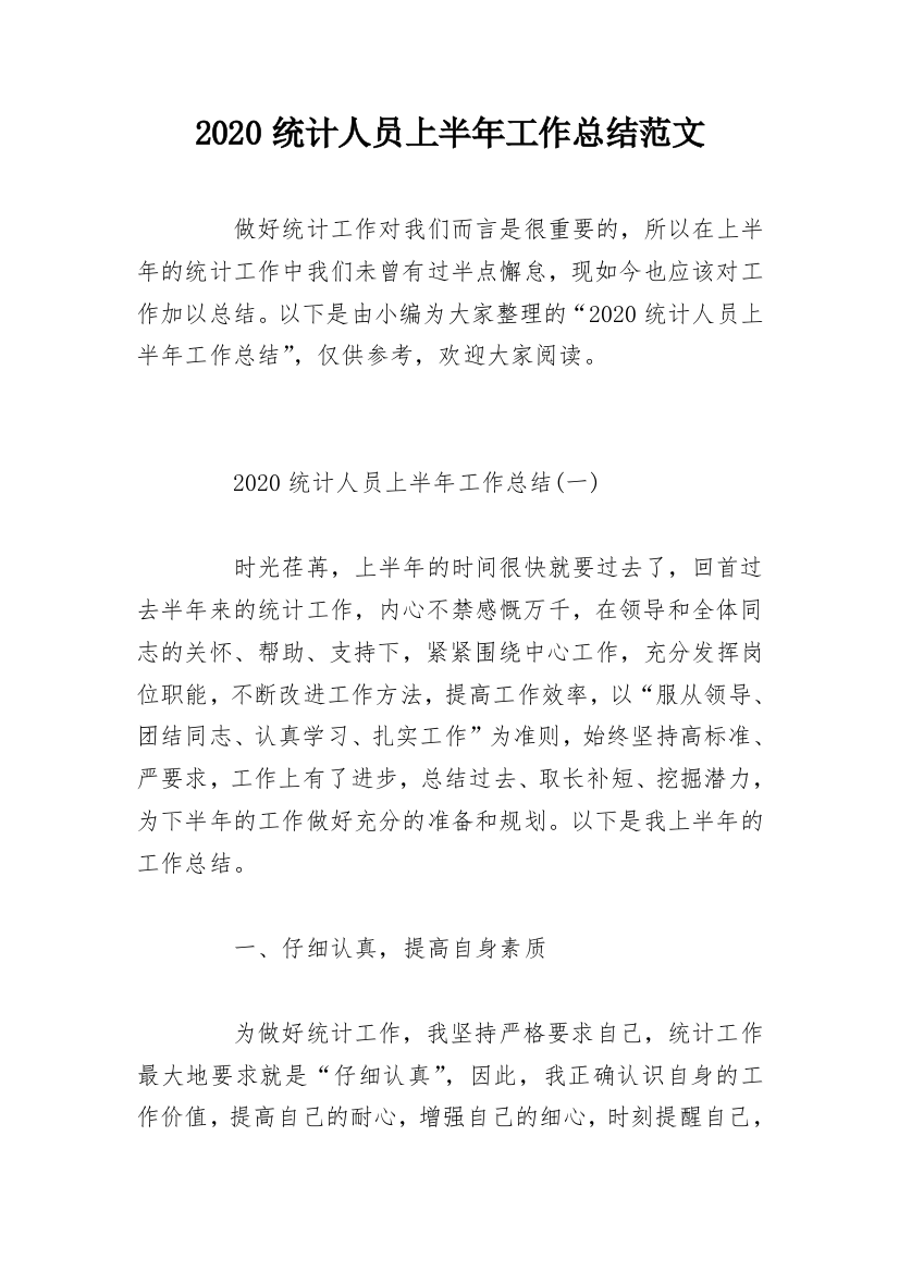 2020统计人员上半年工作总结范文