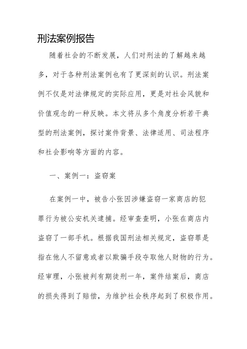 刑法案例报告