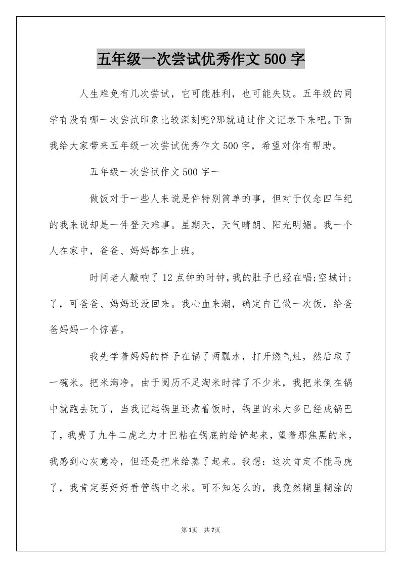 五年级一次尝试优秀作文500字