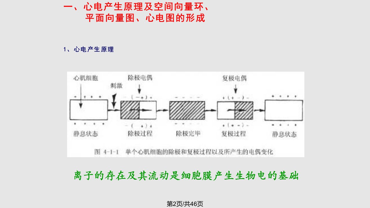 立体心电图研究现状