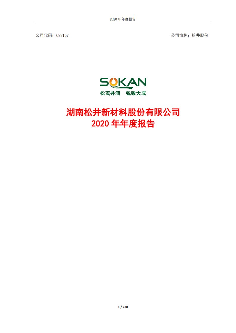 上交所-湖南松井新材料股份有限公司2020年年度报告-20210429