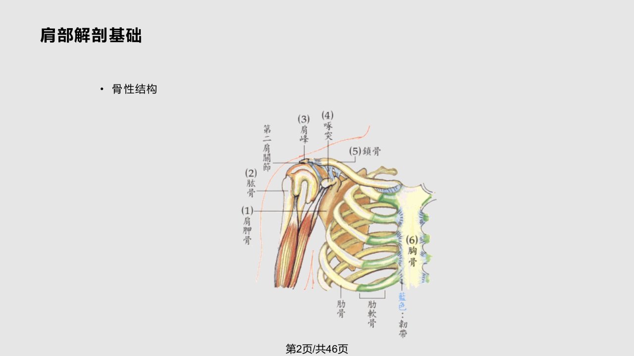 怎样治肩周炎