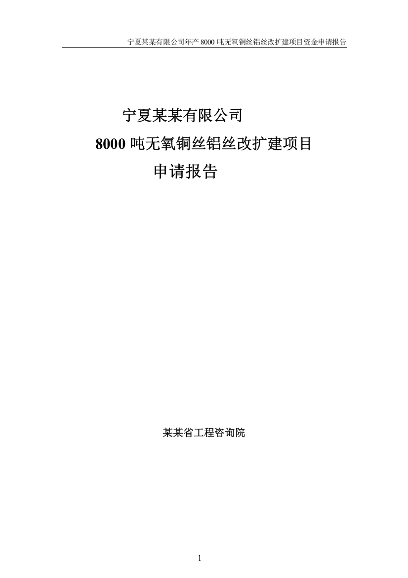 有限公司8000吨无氧铜丝铝丝改扩建建设项目资金申请报告