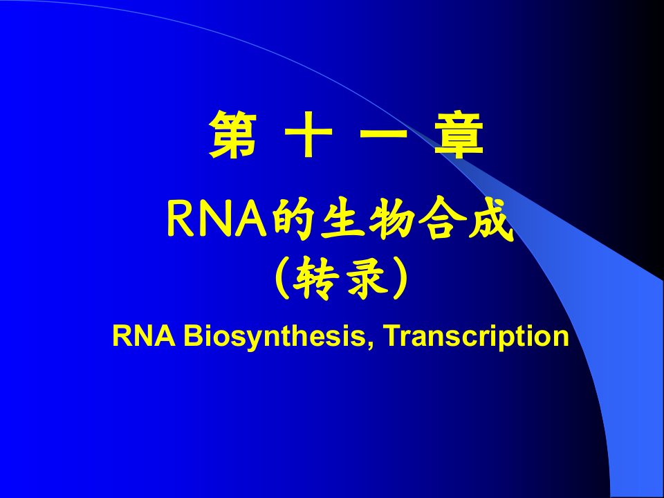 RNA生物合成11采用