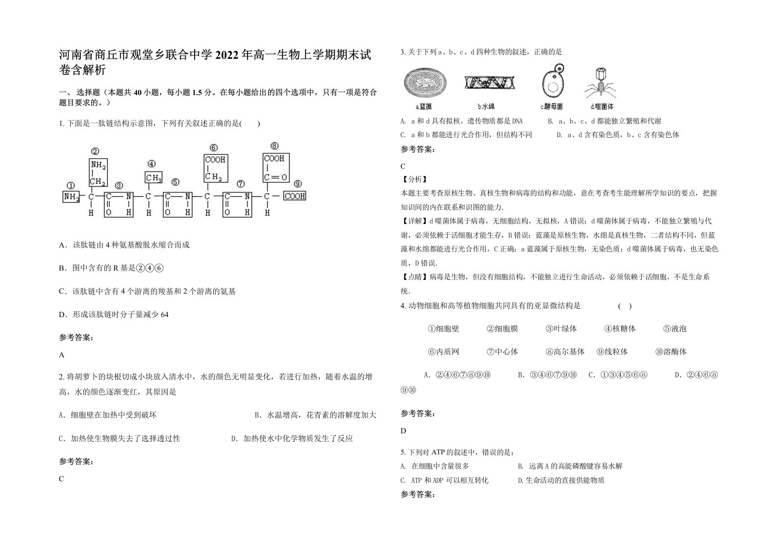 河南省商丘市观堂乡联合中学2022年高一生物上学期期末试卷含解析