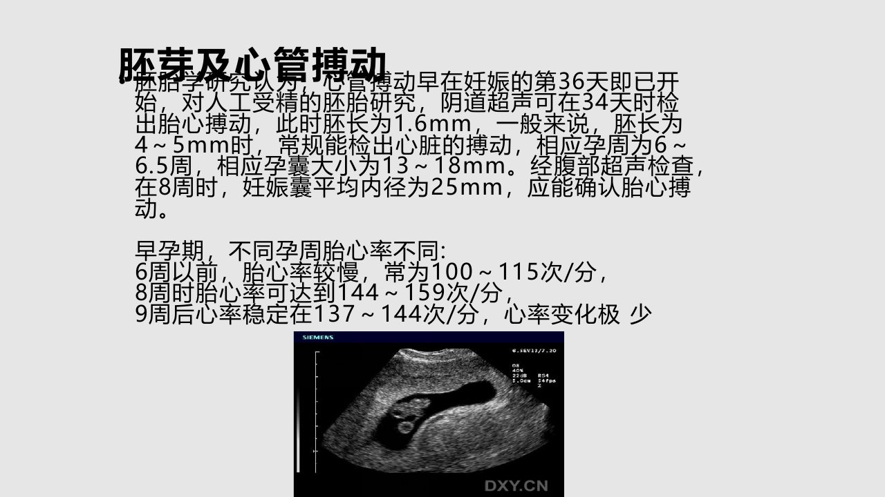 胎儿正常超声表现王晋连云港