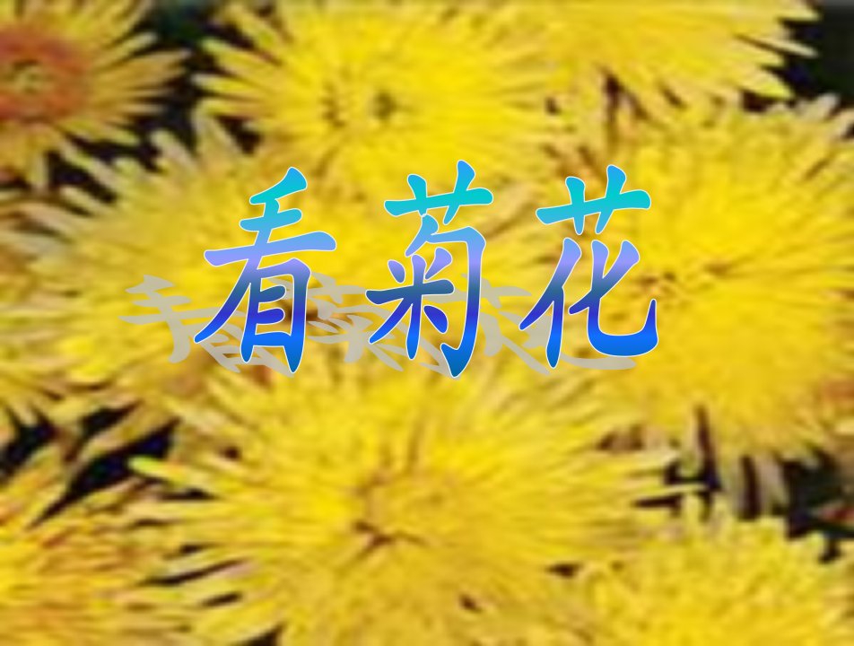 苏教版一年级上册《看菊花》第一节