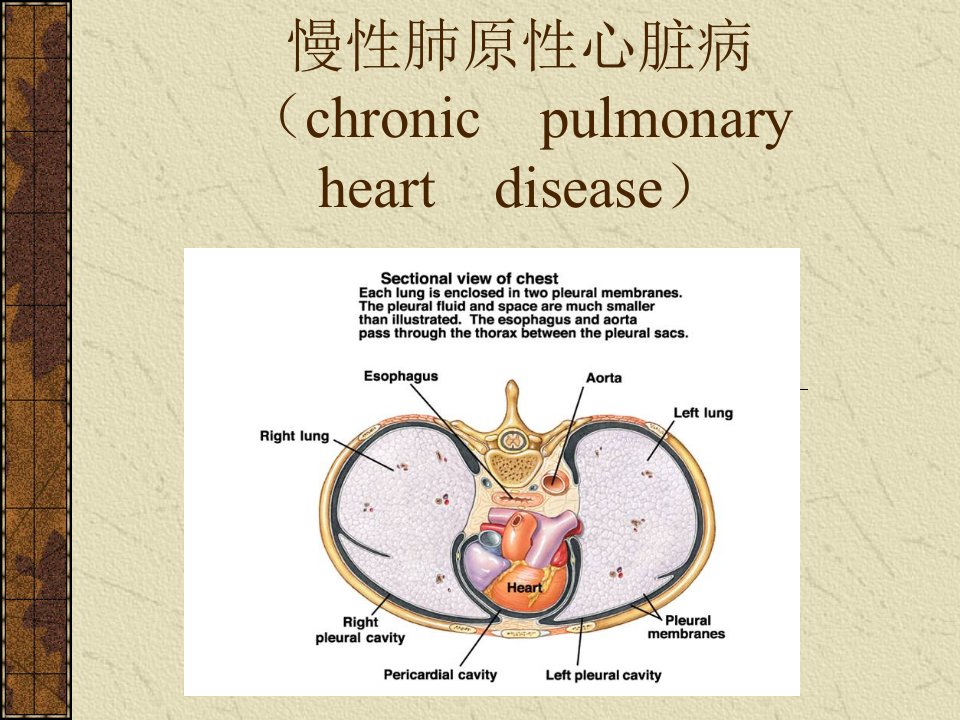 慢性肺原性心脏病