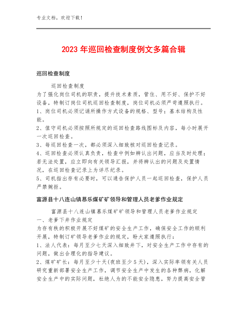 2023年巡回检查制度例文多篇合辑