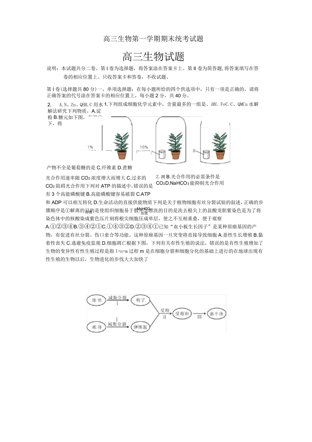 高三生物第一学期期末统考试题