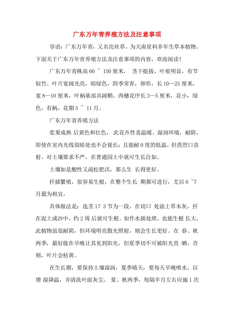 广东万年青养殖方法及注意事项