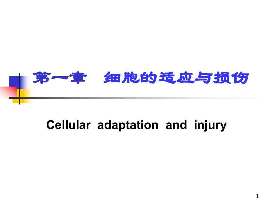 《细胞的损伤与适应》PPT课件