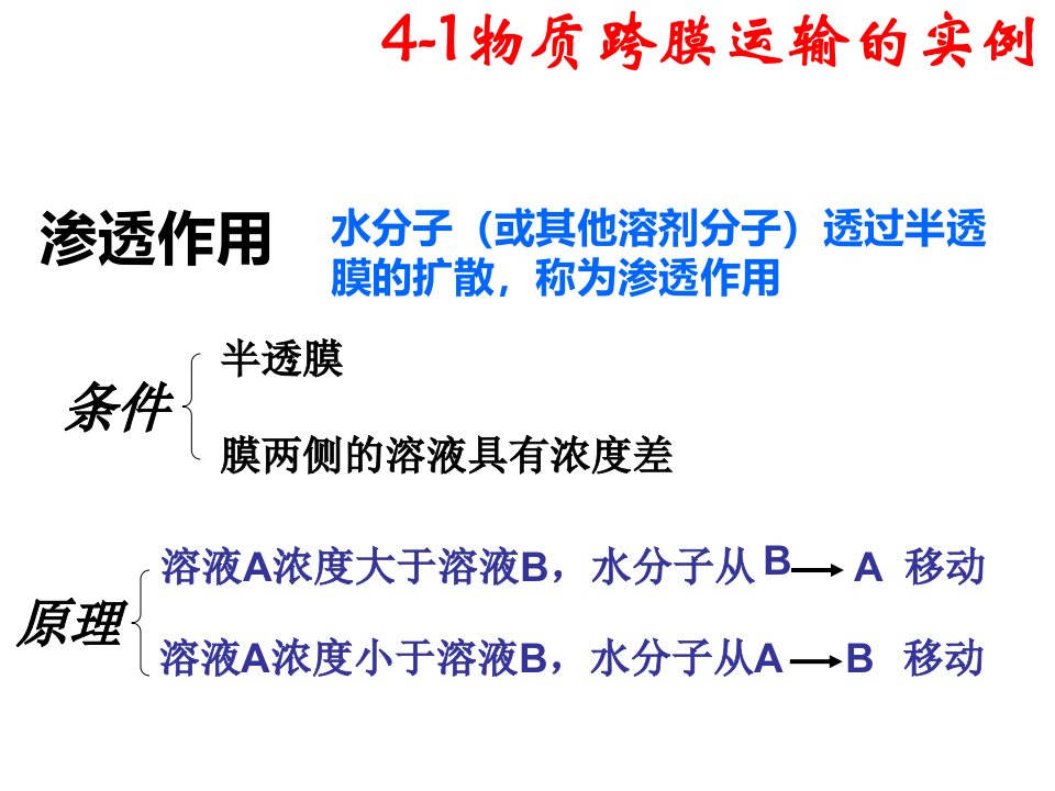 高考生物第一轮复习细胞的物质输入和输出课件