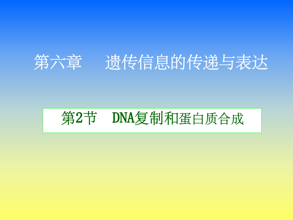 DNA复制和蛋白质合成ppt课件