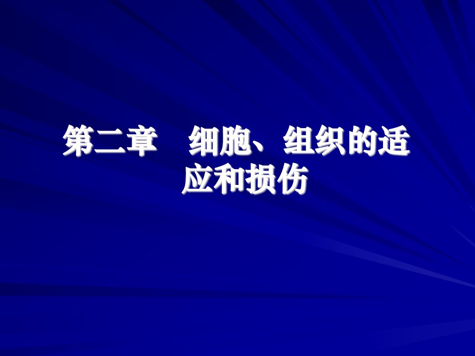 《适应和损伤》PPT课件