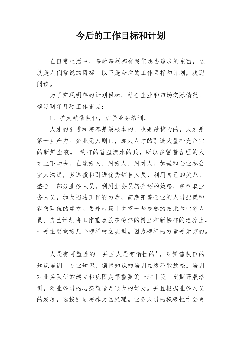 今后的工作目标和计划